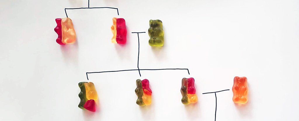 Gummy bears