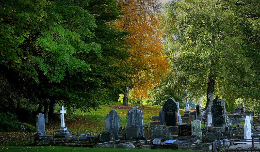 image from Finding your Relatives in a Cemetery